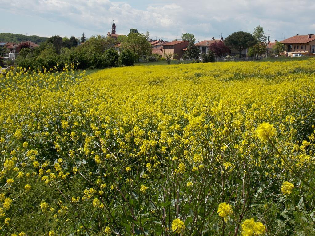 B&B Ca' Dla Nona Brusasco エクステリア 写真